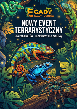 Gorzów Wielkopolski Wydarzenie Targi Event terrarystyczny EGADY